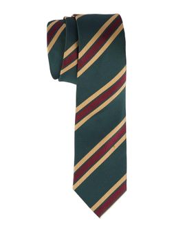 The Tie Hub - Green Stripe Microfiber Neck Tie