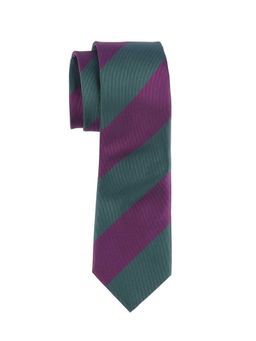The Tie Hub - Green with Purple Stripe Microfiber Neck Tie