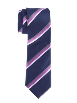 The Tie Hub - Navy Blue with Purple Stripe Microfiber Neck Tie