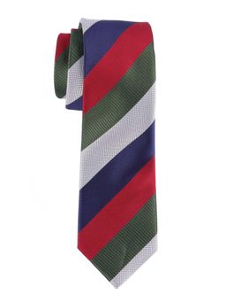 The Tie Hub - Multicolor Stripe Microfiber Neck Tie