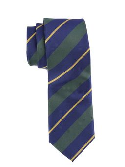 The Tie Hub - Green with Blue Stripe Microfiber Neck Tie