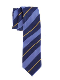 The Tie Hub - Blue Stripe Microfiber Neck Tie