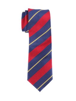 The Tie Hub - Maroon Stripe Microfiber Neck Tie