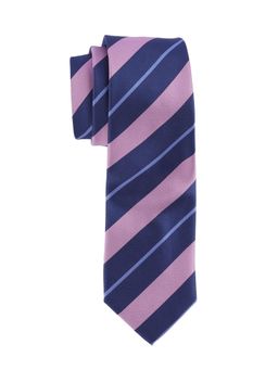 The Tie Hub - Pink with Blue Stripe Microfiber Neck Tie