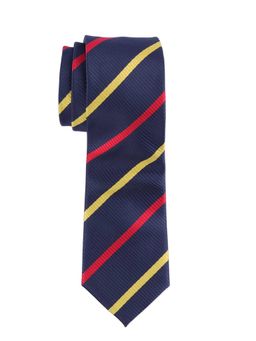 The Tie Hub - Blue Stripe Microfiber Neck Tie