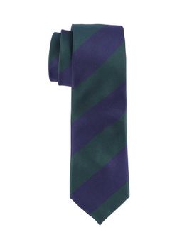 The Tie Hub - Green with Blue Stripe Microfiber Neck Tie