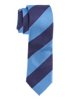The Tie Hub - Blue Stripe Microfiber Neck Tie