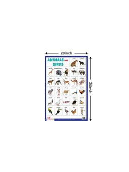 Pegasus - Animals & Birds Thick Laminated Educational Chart