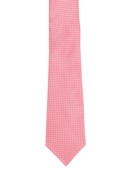 Alvaro Castagnino - Mens Necktie