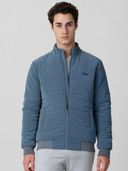 Blue color option, Currently selected