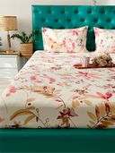 Peach color option, Currently selected