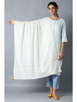 W - Blue Embroidered Dupatta