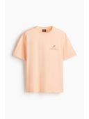 Multi-Color color option, Currently selected