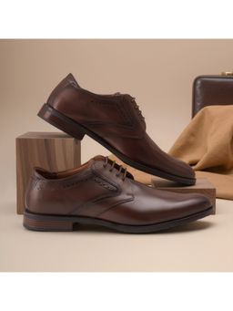 Florsheim - Austin Men Brown Derbies