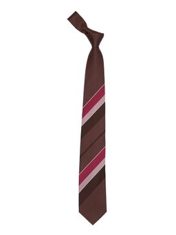 The Tie Hub - Brown With Multi-Color Stripes 100% Silk Necktie