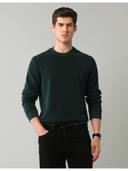 Green color option, Currently selected
