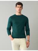Teal color option, Currently selected