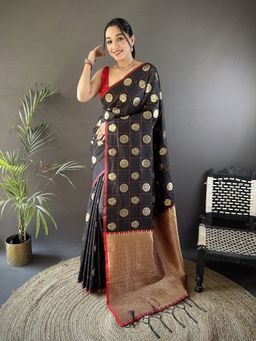 Elora - Black Checks Saree With Unstitched Blouse