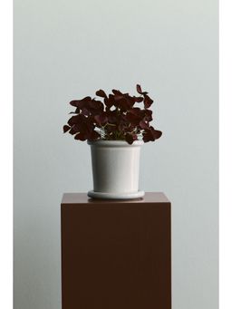 H&M - Grey Extra-Small Stoneware Plant Pot With Saucer
