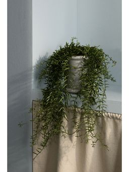 H&M - Grey Stoneware Plant Pot With Saucer