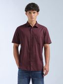 Purple color option, Currently selected