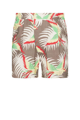 BODE - Sun Conure Boxers