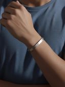 Silver color option, Currently selected