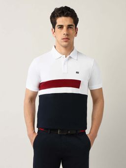 Arrow Sports - Men Blue Cotton Half Sleeves Polo T-Shirt