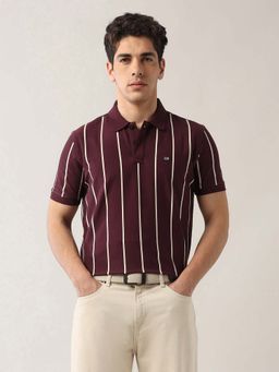 Arrow Sports - Men Brown Cotton Half Sleeves Polo T-Shirt