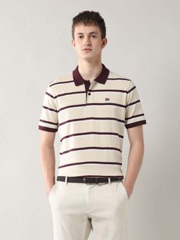 Arrow Sports - Men Brown Cotton Half Sleeves Polo T-Shirt