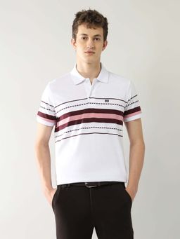 Arrow Sports - Men Brown Cotton Half Sleeves Polo T-Shirt