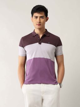 Arrow Sports - Men Purple Cotton Half Sleeves Polo T-Shirt