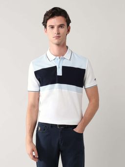 Arrow Sports - Men Blue Cotton Half Sleeves Polo T-Shirt