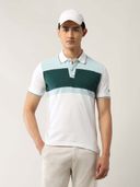 Green color option, Currently selected
