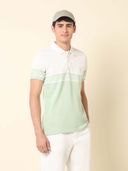Green color option, Currently selected