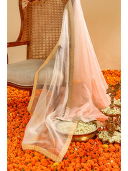 Sheetal Batra - Light Silk Organza Dupatta
