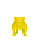 Yellow color option, Currently selected
