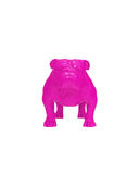 Pink color option, Sold out