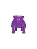 Lavender color option, Sold out