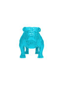 Turquoise color option