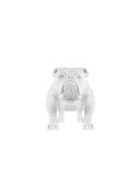 White color option, Sold out