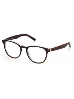 Guess - Shiny Brown Demi-White Lens Round Sunglass Shiny Brown Demi-White Frame (51)