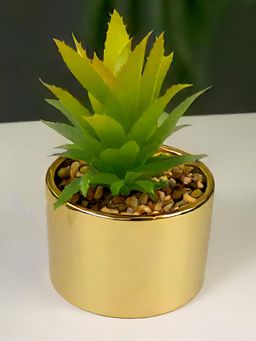 DecorTwist - Succulent Plant with Pot for Indoor and Outdoor