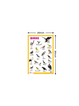 Pegasus - Birds Thick Laminated Primary Chart