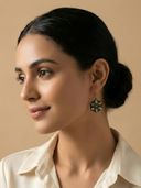 Multi-Color color option, Currently selected