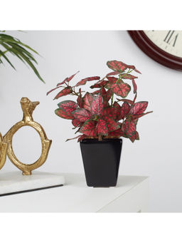 HomeTown - Ilana Faux Hypoestes Ceramic Potted Plant 19 Cm in Red Colour