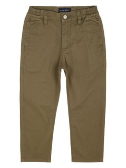 Allen Solly Junior - Boys Brown Slim Fit Solid Trousers