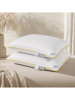 ERBA - White Natalia White Pillow (20 x 28 Inches)