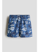 Blue color option, Currently selected