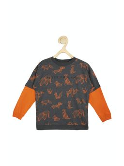 Peter England - Boys Grey Printed Sweatshirt
